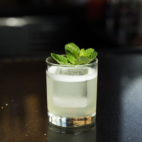 A light green cocktail with a large ice cube and mint garnish sits on a dark bar.